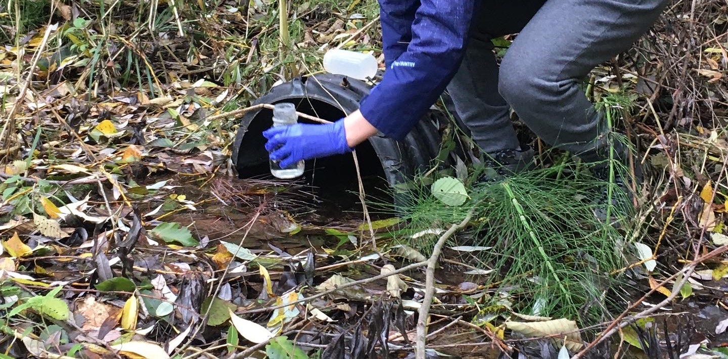 student in wetland collecting water from stream