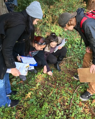 Active Learning