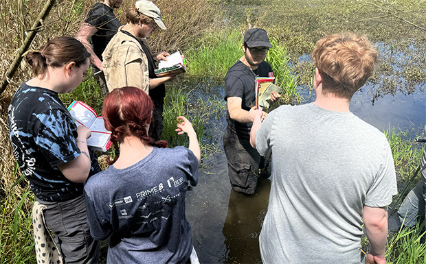 Six students wading in grassy water and referencing text books.
