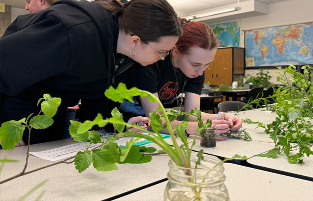 two students in a classroom looking at plants on a table.