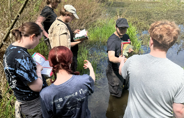 Six students wading in grassy water and referencing text books.