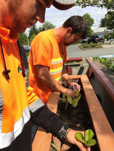 Jeff Miller planting for his capstone