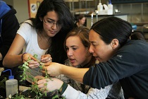 Cascadia biology class