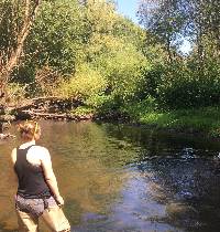 Studying wetland water