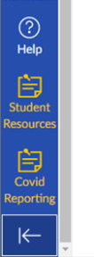 Screenshot of reporting link on Canvas