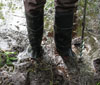 image of boots in Cascadia wetlands