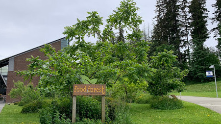 Food Forest campus view