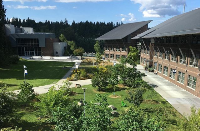 Summer Food Forest View