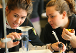 Students in science lab running tests