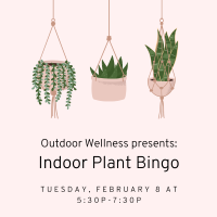 Pink background with graphics of hanging plants and text 