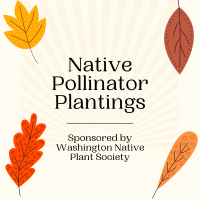 Fall leaves and text "Native Pollinator Plantings, sponsored by Washington Native Plant Society"