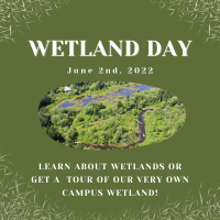 Wetland Day photo